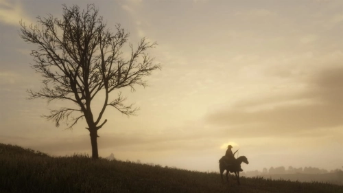 GRA RED DEAD REDEMPTION 2 XBOX ONE